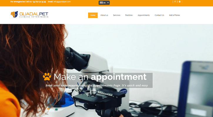 Marbella Website Design
