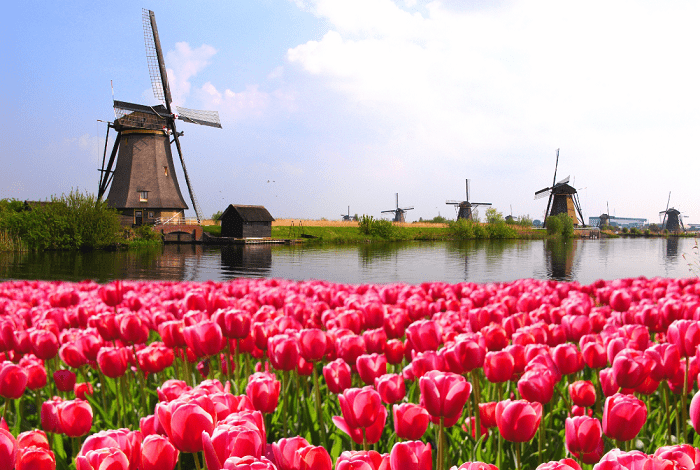 Dutch landscape