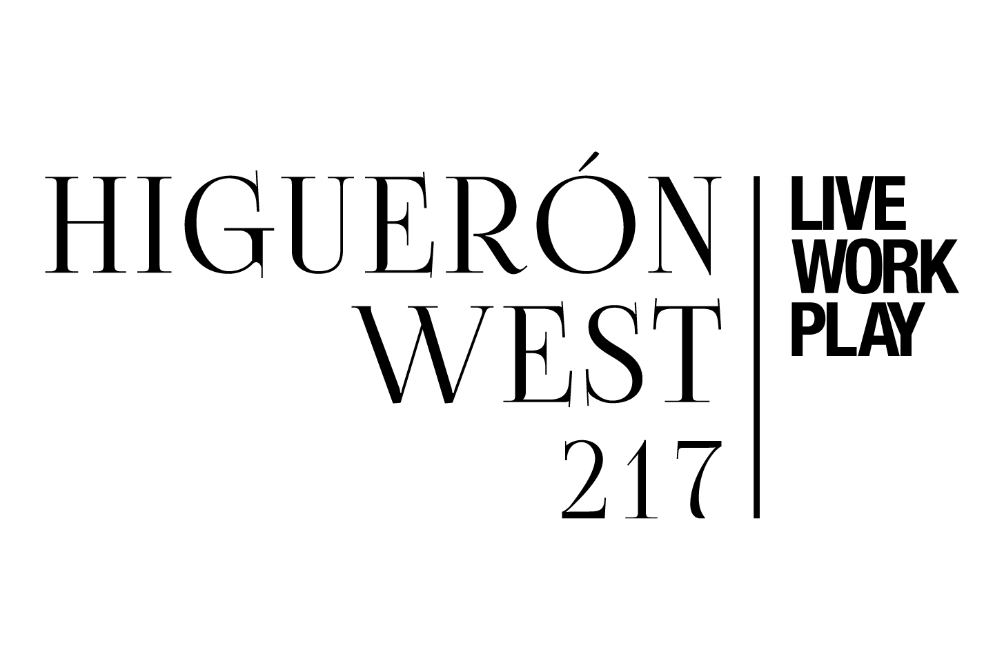 HW217-Black_colour